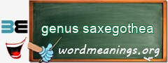 WordMeaning blackboard for genus saxegothea